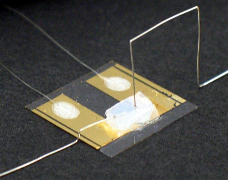 Researchers target single atom devices for comms apps